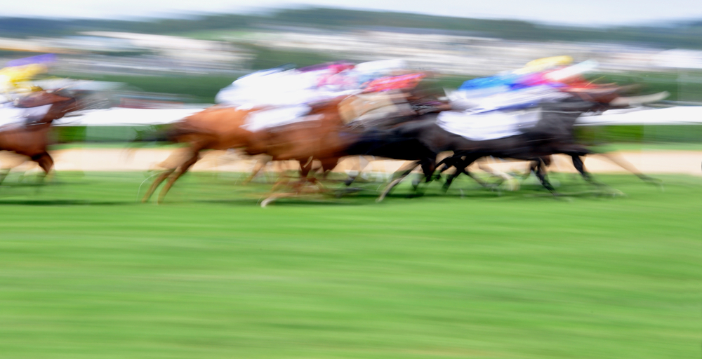 競馬初心者が知っておくポイント